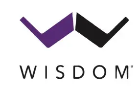WISDOM INSIGHT -logo