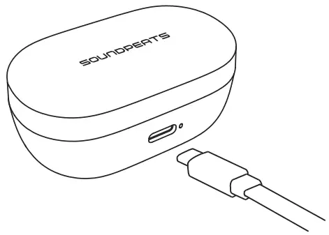 SoundSOUL Truengine 3 SE - case