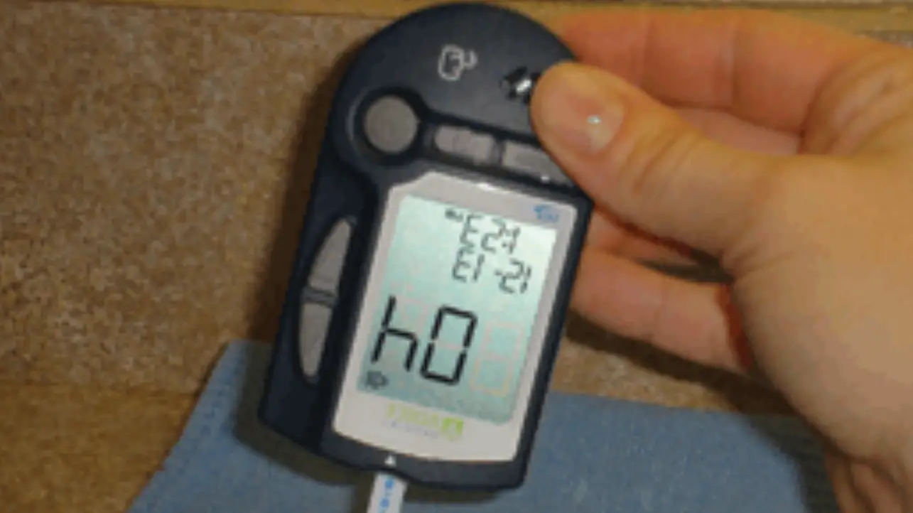 Prodigy Voice Active Blood Glucose Meter Owner's Manual