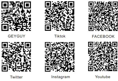 GEYGUY GTSK8-2 Trolley Speaker System-FIG2