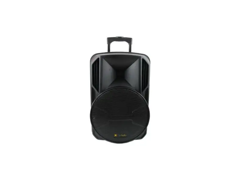 Guangzhou Cov Electronic 9811l Speaker User Manual