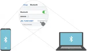 Multi Device Connection