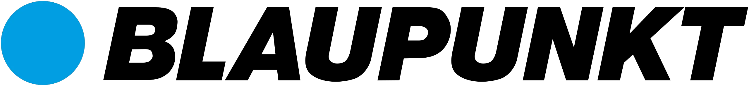 BLAUPUNKT-San-Juan-800-W-Smart-Multimedia-LOGO