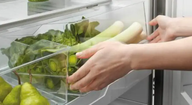 Fisher Paykel Rf170brpux6 N Freestanding Refrigerator Freezer User Guide Fisher Paykel Rf170brpux6 N Freestanding Refrigerator Freezer User Guide