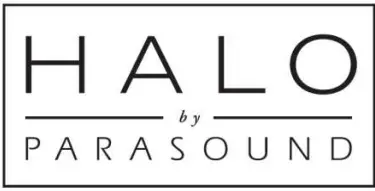 P6-2-1-Channe-Halo-Preamplifier-and-DAC-logo