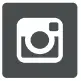 Instagram Icon