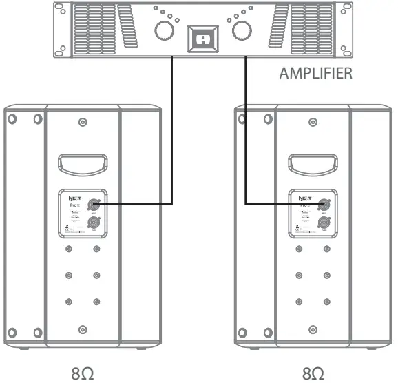 Connections Induction