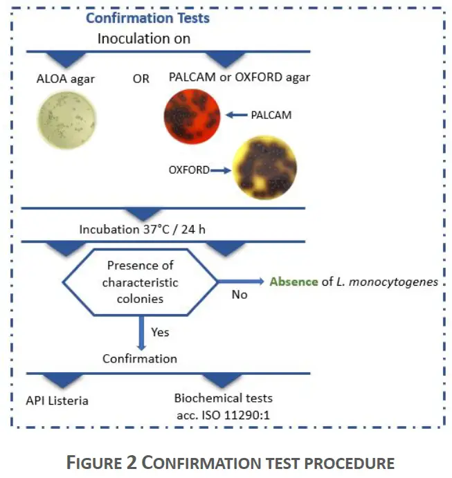 embio diagnostics BELD Research Lab Starters Kit 2