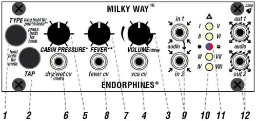 ENDORPHINES MILKY WAY Stereo Effect Processor A2