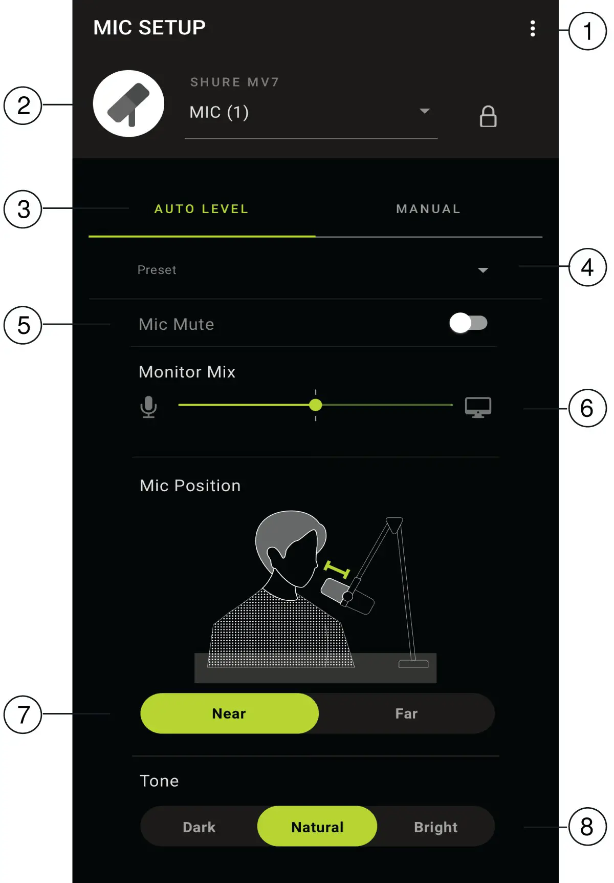 Mic Setup Auto Level
