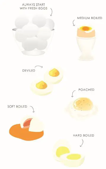 Elite Gourmet Automatic Easy Egg Cooker fig 2