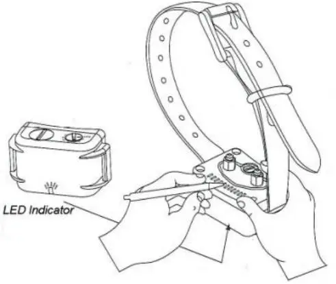 DOGMASHTER DMT Advance Bark Control Collar - Testing