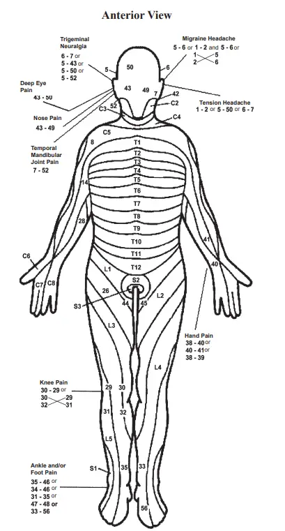 Chattanooga 36038 Primera DUAL CHANNEL TENS & NMES UNIT 10