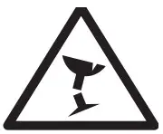 glass is fragile Icon