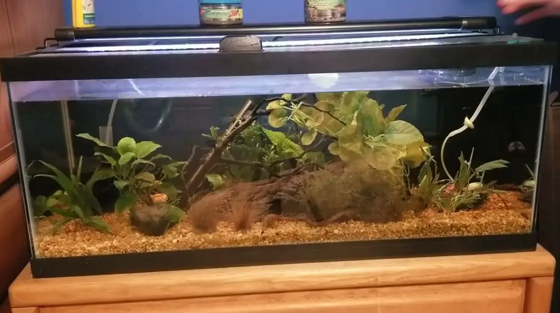 Hygger Hg-990 Planted 24-7 Aquarium Clip-on Light User Manual