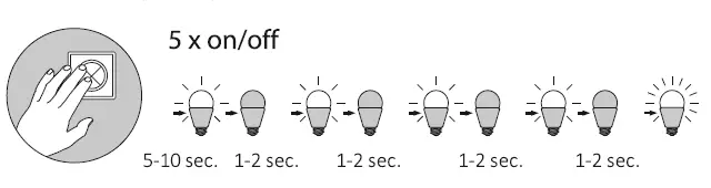 Paul-Neuhaus-2339-Pendant-Ligh-6