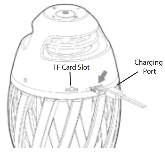 POWER-TO-GO CP112-2 LED Flame Speaker - FIGER 2