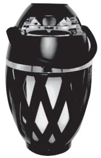 POWER-TO-GO CP112-2 LED Flame Speaker