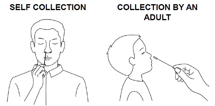 Flowflex COVID-19 Antigen Home Test FIG 7