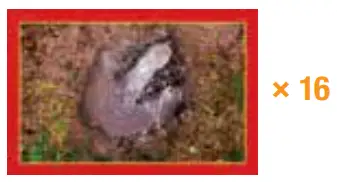 MONOPOLY Jurassic Park Edition Board Game for Kids -fig8