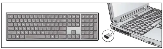 Insert the USB receiver