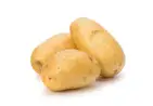 Potato