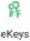 H3A - e-Key Icon