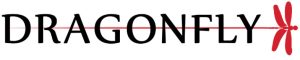 DRAGONFLY - logo