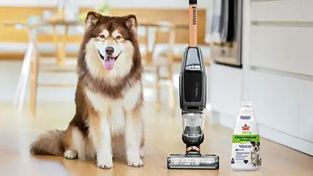 Bissell 3277 Cordless Pet Pro Instruction Manual Bissell 3277 Cordless Pet Pro Instruction Manual