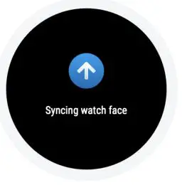 Xiaomi Smartwatch Amazfit T-Rex - Use of Functions