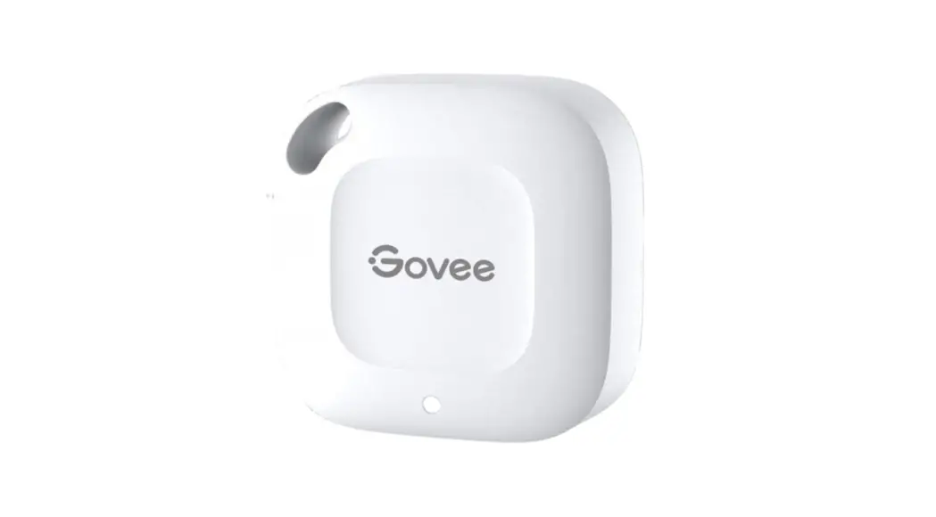 Govee H5174 Smart Thermo Hygrometer User Manual