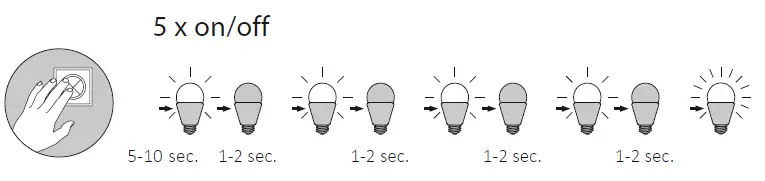 Paul-Neuhaus-6223-79-Q-Timber-LED-Pendant-Light-5