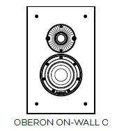 DALI OBERON 7 C High-Performance Wireless Active Speaker-3