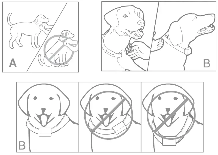 PATPET-9044728-Remote-Dog-Training-Collar-FIG (18)