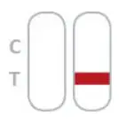 PRAXISDIENST 491005 Nadal RSV Test - Invalid