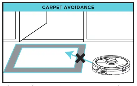 CARPET AVOIDANCE