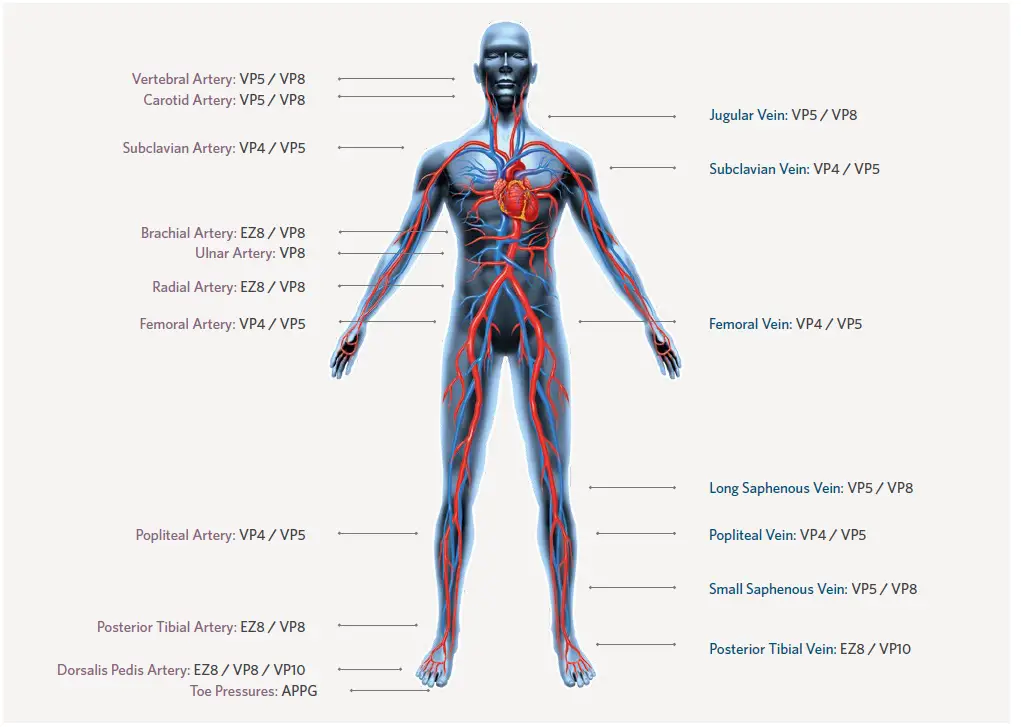 HUNTLEIGH-SD2-Handheld-Vascular-Doppler-System-FIG-11