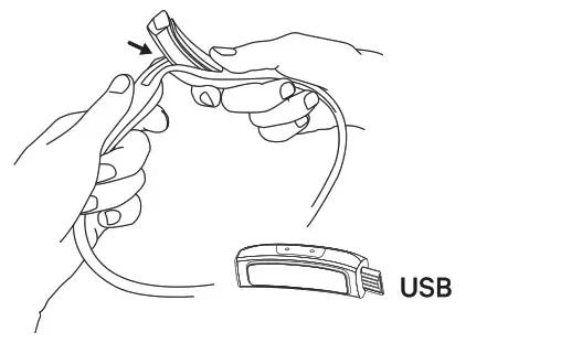 knog BANDICOOT RUN 250 Lumen Blue Headlamp- Charging