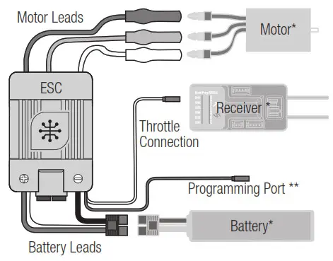 SPECTRUM 60 Amp Brushless Avian Samrt ESCs - Wiring Diagram