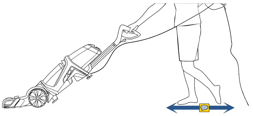 Cleaning Your Carpet 4