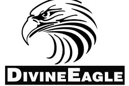 Spy-Camera-Charger-Hidden-Camera-Premium-Pack--Mini-Spy-Camera-1080p-USB-Charger-Camera-logo