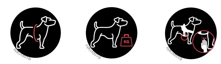 JULIUS-K9-Dog-Power-Harness-1