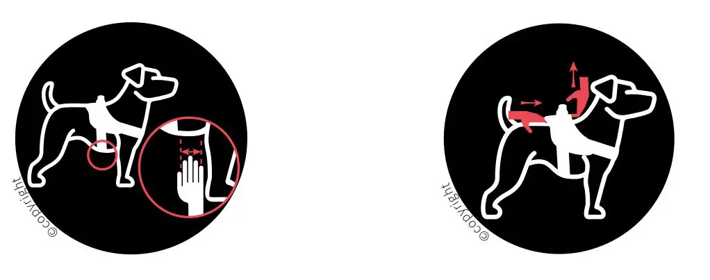 JULIUS-K9-Dog-Power-Harness-5