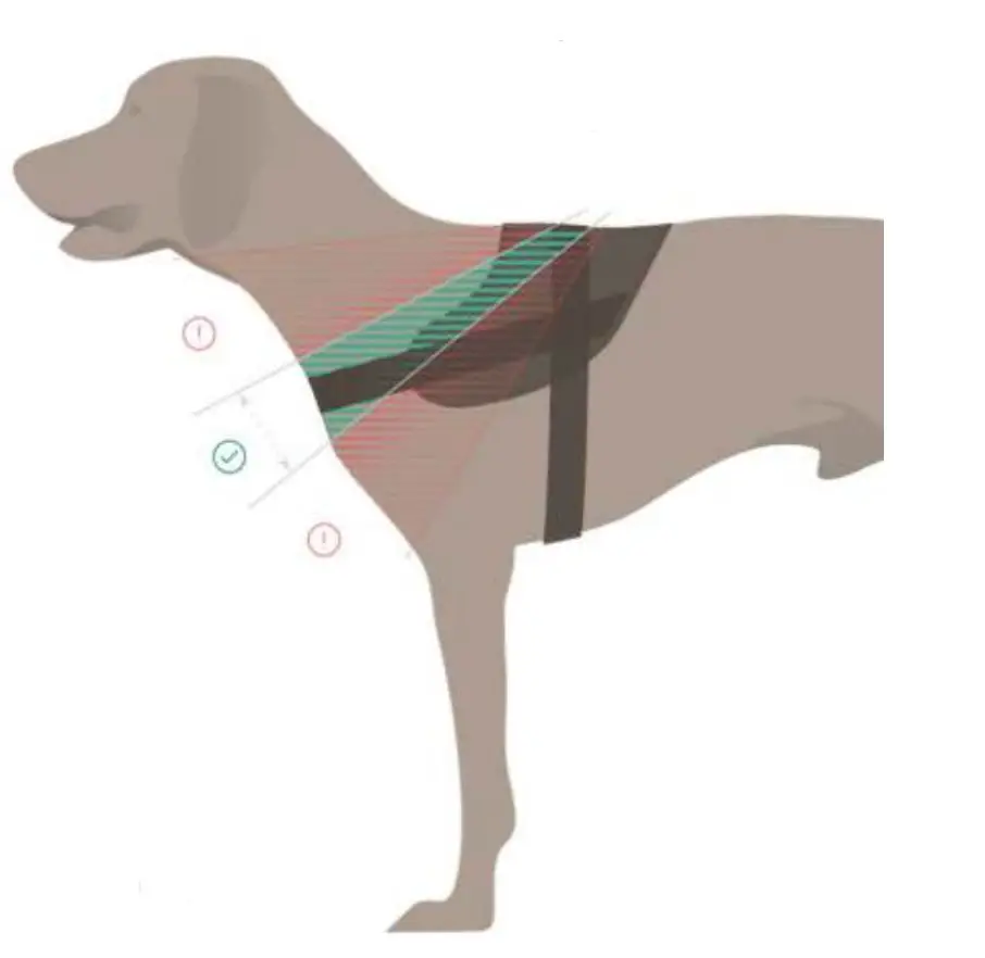 JULIUS-K9-Dog-Power-Harness-6