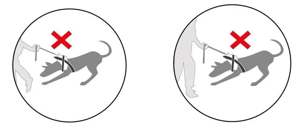 JULIUS-K9-Dog-Power-Harness-7