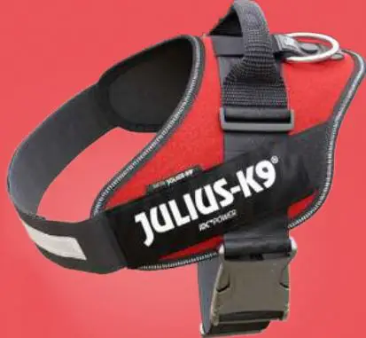 JULIUS-K9-Dog-Power-Harness-product