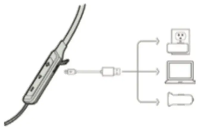 REPUBLIC Sport Wireless Earphone- Chargin