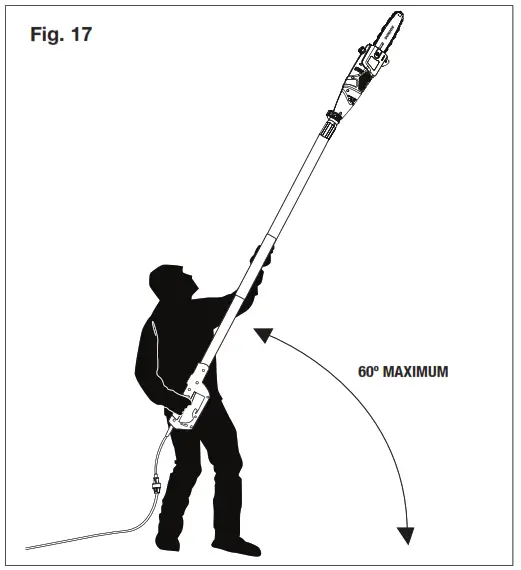 SUN JOE SWJ800E 8-Inch 6.5-Amp Electric Pole Chain Saw - Fig. 17