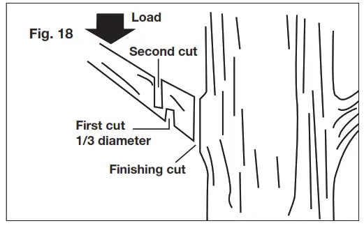 SUN JOE SWJ800E 8-Inch 6.5-Amp Electric Pole Chain Saw - Fig. 18