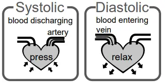 Activ8rlives-TMB-1018-A-Blood-Pressure3-and-Heart-Rate-Connected-Monitor-fig-9